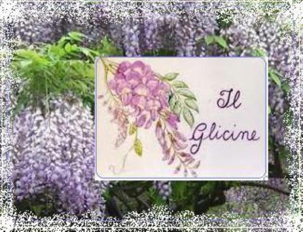 Il Glicine Di Lucca Apartment Bagian luar foto